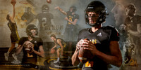 Sports/Lifestyle Composites
